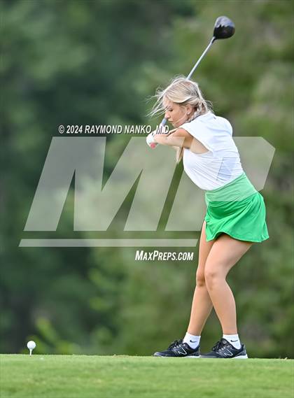 Thumbnail 3 in New Castle @ Yorktown  photogallery.