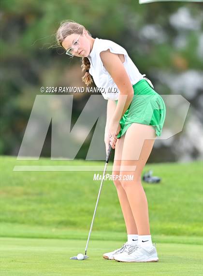 Thumbnail 3 in New Castle @ Yorktown  photogallery.