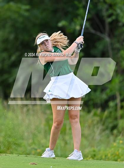 Thumbnail 3 in New Castle @ Yorktown  photogallery.
