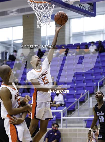 Thumbnail 2 in Harlan @ Brandeis photogallery.