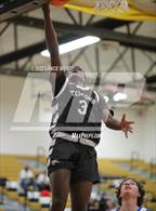 Photo from the gallery "Centaurus vs. Palmer"