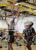 Photo from the gallery "Centaurus vs. Palmer"