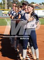 Photo from the gallery "Cactus Shadows @ Horizon"