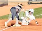 Photo from the gallery "Cactus Shadows @ Horizon"