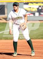 Photo from the gallery "Cactus Shadows @ Horizon"