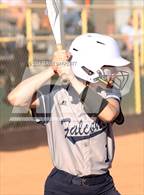 Photo from the gallery "Cactus Shadows @ Horizon"