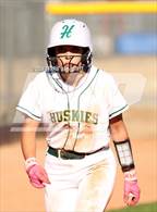 Photo from the gallery "Cactus Shadows @ Horizon"