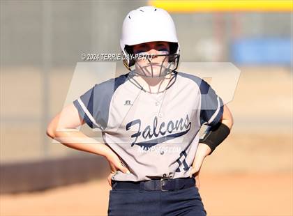 Thumbnail 1 in Cactus Shadows @ Horizon photogallery.