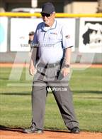 Photo from the gallery "Cactus Shadows @ Horizon"