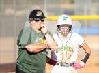 Photo from the gallery "Cactus Shadows @ Horizon"