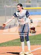 Photo from the gallery "Cactus Shadows @ Horizon"