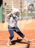 Photo from the gallery "Cactus Shadows @ Horizon"