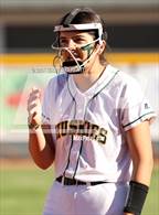 Photo from the gallery "Cactus Shadows @ Horizon"