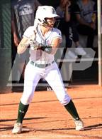 Photo from the gallery "Cactus Shadows @ Horizon"