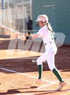 Photo from the gallery "Cactus Shadows @ Horizon"