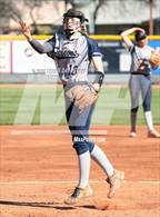 Photo from the gallery "Cactus Shadows @ Horizon"