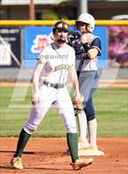 Photo from the gallery "Cactus Shadows @ Horizon"