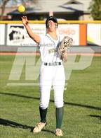 Photo from the gallery "Cactus Shadows @ Horizon"