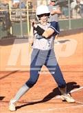 Photo from the gallery "Cactus Shadows @ Horizon"