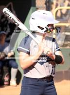 Photo from the gallery "Cactus Shadows @ Horizon"