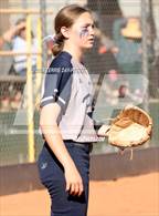 Photo from the gallery "Cactus Shadows @ Horizon"