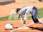 Photo from the gallery "Cactus Shadows @ Horizon"