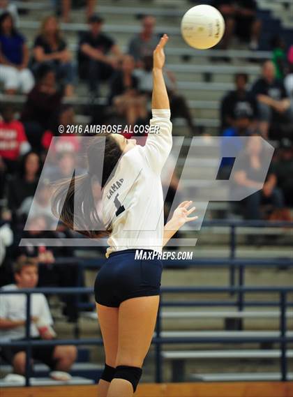 Thumbnail 1 in Bellaire @ Lamar photogallery.