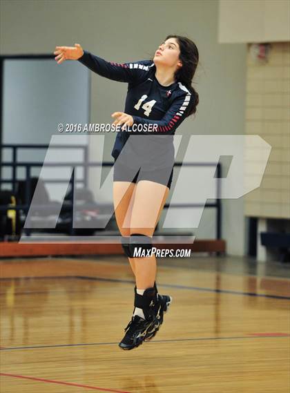 Thumbnail 2 in Bellaire @ Lamar photogallery.