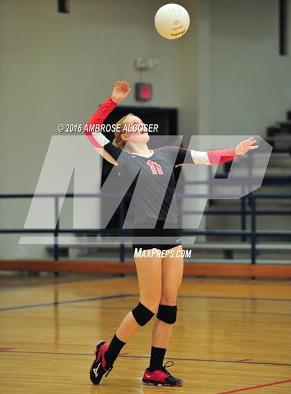 Thumbnail 2 in Bellaire @ Lamar photogallery.