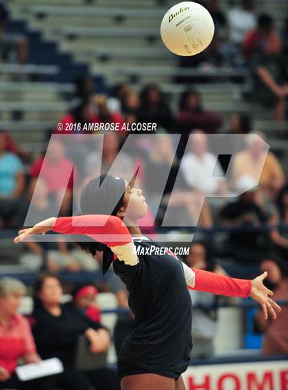 Thumbnail 2 in Bellaire @ Lamar photogallery.