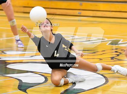 Thumbnail 2 in Highland @ Sunnyslope photogallery.