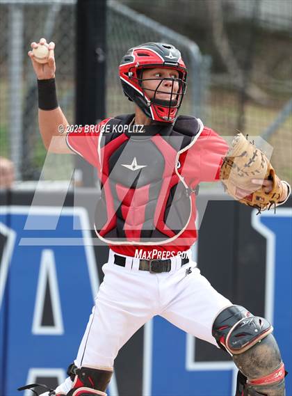 Thumbnail 3 in West Essex @ Millburn photogallery.
