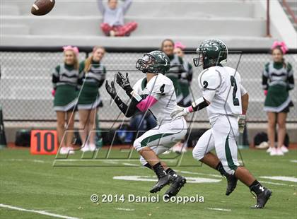 Thumbnail 1 in Livingston @ Nutley photogallery.