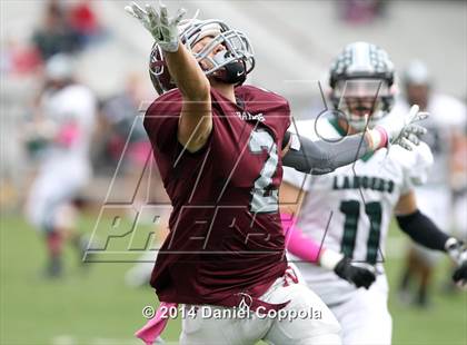 Thumbnail 2 in Livingston @ Nutley photogallery.
