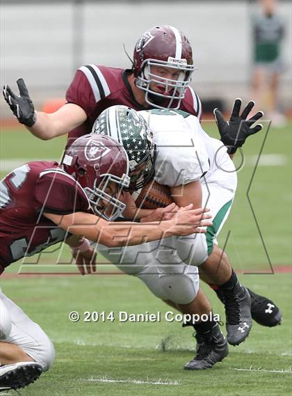 Thumbnail 3 in Livingston @ Nutley photogallery.