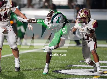 Thumbnail 2 in Citronelle @ Vigor photogallery.