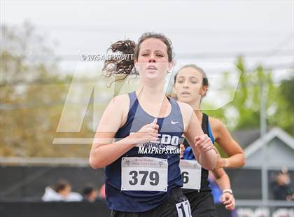Thumbnail 2 in Bryan Bradley Viking Track Classic (1600m) photogallery.