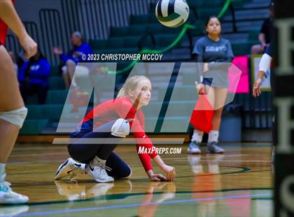 Thumbnail 1 in Manatee @ Lakewood Ranch photogallery.
