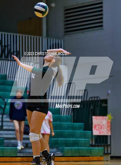 Thumbnail 1 in Manatee @ Lakewood Ranch photogallery.