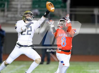 Thumbnail 2 in Kingfisher vs Marshall photogallery.
