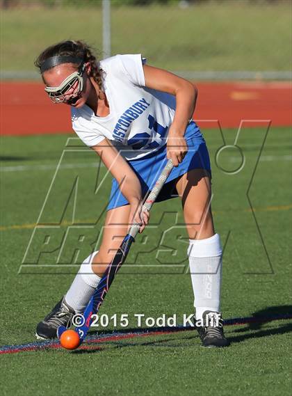 Thumbnail 1 in Southington @ Glastonbury photogallery.