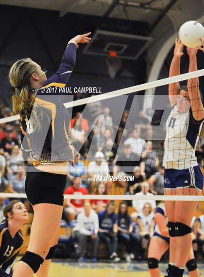 Thumbnail 3 in Blue Ridge vs Snowflake (AIA 3A Semifinal) photogallery.