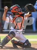 Photo from the gallery "Terra Nova @ Half Moon Bay"
