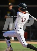 Photo from the gallery "Terra Nova @ Half Moon Bay"