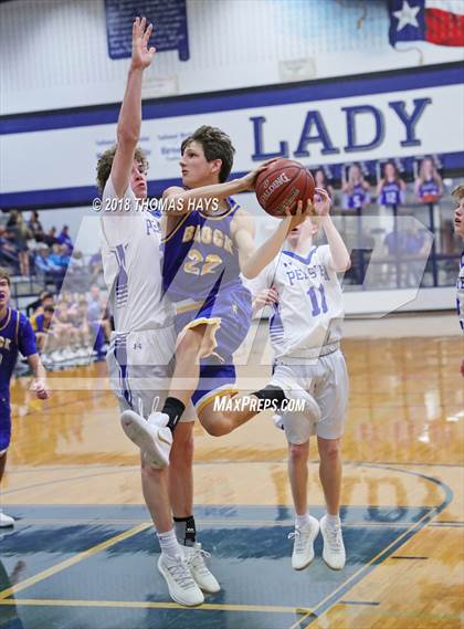 Thumbnail 3 in Brock @ Peaster photogallery.