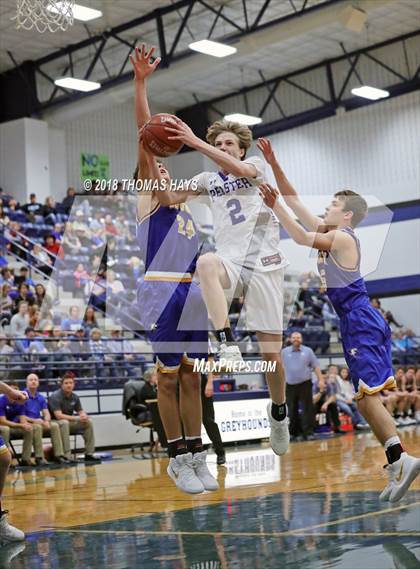 Thumbnail 3 in Brock @ Peaster photogallery.