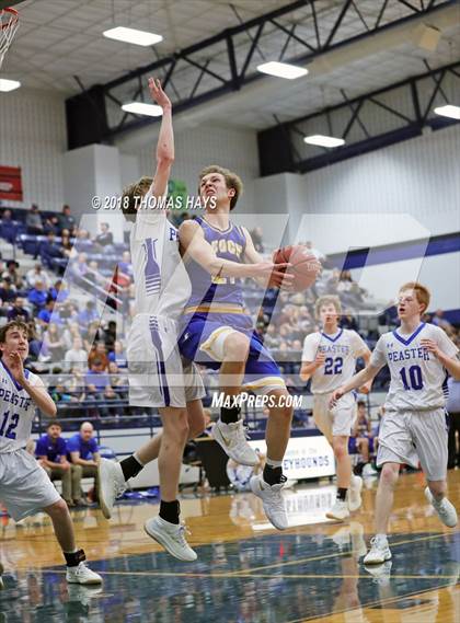 Thumbnail 2 in Brock @ Peaster photogallery.