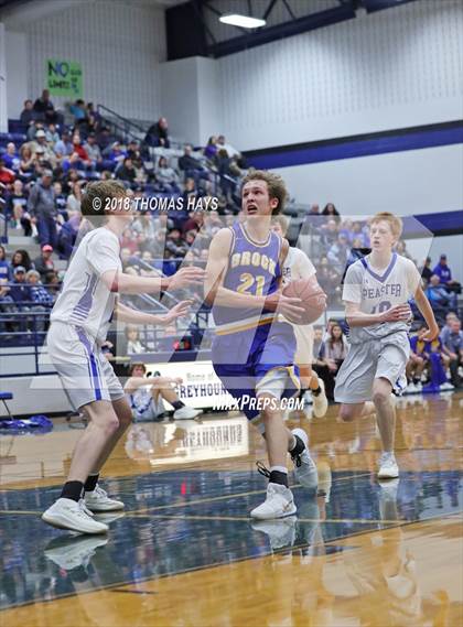 Thumbnail 2 in Brock @ Peaster photogallery.