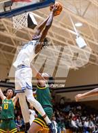 Photo from the gallery "Pine Forest @ Westover"