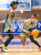 Photo from the gallery "Pine Forest @ Westover"